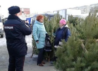 В Пензе ежедневно проверяют елочные базары