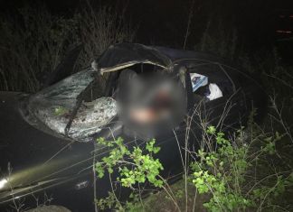 Житель Пензенской области погиб после ДТП с лосем