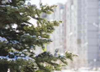 ﻿﻿﻿В Пензу придет оттепель