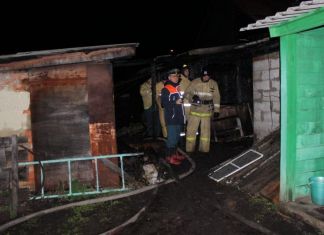 Три человека погибли в пожаре в Каменке