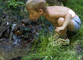 В зареченском роднике этой весной стало меньше воды