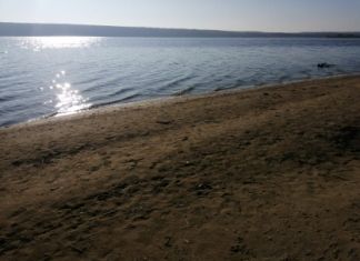 В Шемышейском районе во время отдыха с друзьями утонул мужчина