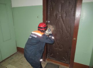 Родственники не знали, что бабушка в больнице и вызвали спасателей 