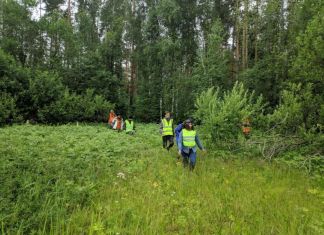Стали известны подробности поиска 80-летней Раисы Дмитриевой 