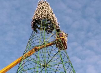 ﻿﻿На главную елку Пензы начали прикреплять ветки