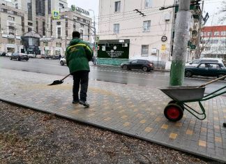 В Пензе коммунальные службы не успевают справляться с гололедом