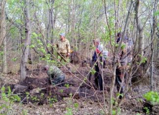 Пензенские поисковики обнаружили останки 36 бойцов Красной Армии