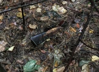 В области нашли труп пропавшего в 2015 году мужчины