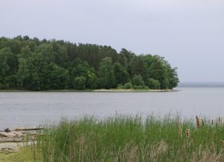 На Сурском водохранилище в начале июня зацвела акватория