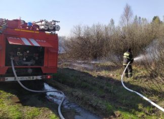В Пензенской области с 30 апреля вводится режим повышенной готовности