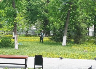 В рамках благоустройства в городе установили более 300 урн