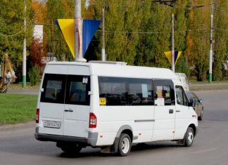 Общественный транспорт изменит маршруты во время «Кросса нации - 2019»