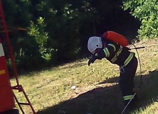 В Пензе на улице Мира загорелось русско-польское кладбище 
