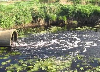 Прокуратура требует возбудить уголовное дело по факту выбросов на «Маяке»