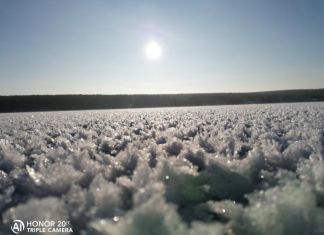 На Сурском водохранилище зацвели снежные кристаллы