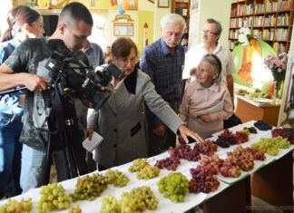 Пензенцев приглашают на «День винограда»