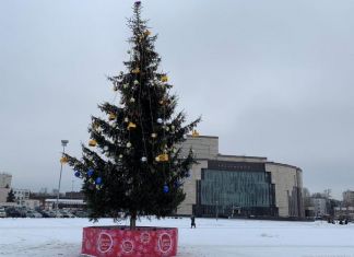 На Юбилейной площади впервые установили новогоднюю елку