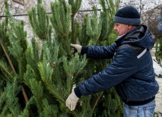 В Заречном не стали поднимать цены на елки