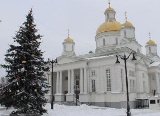 Пенза попала в список городов с самой высокой живой елкой
