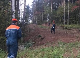 В России стали чаще пропадать дети