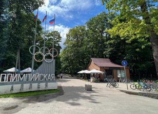 В Пензе на Олимпийской аллее строят туалет и кафетерий