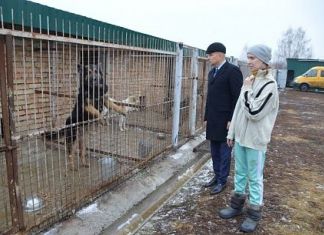 Пензенские депутаты без предупреждения проверили питомник для собак