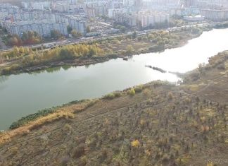 Арбековские пруды планируют превратить в новую зону отдыха 