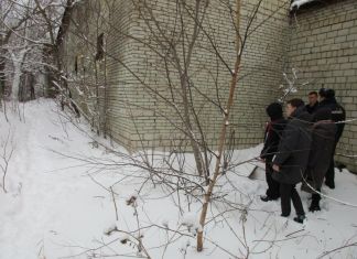 В Москве задержали мужчину, пытавшегося изнасиловать ребенка в Кузнецке