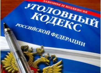 Пьяный водитель-каратист избил полицейского