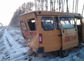 В ДТП под Пензой пострадали пятеро детей