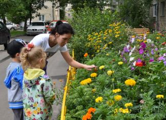 Зареченцы высаживают во дворах новые кустарники и деревья