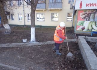 Лучший дворник Пензы получит 50 000 рублей