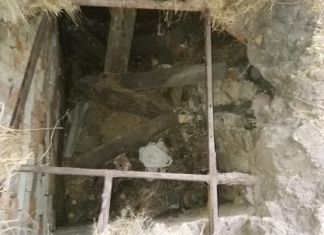 Не желая отдавать долг женщина заказала убийство знакомого