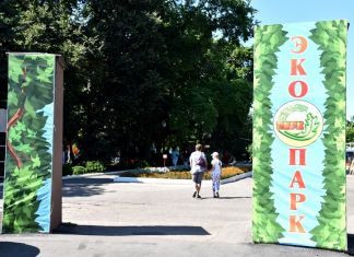 В Пензе пройдет ежегодный экофестиваль 