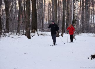 В Пензе планируют реконструировать лыжный стадион «Снежинка»