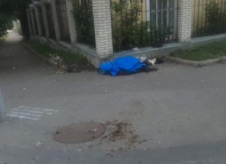На улице Гоголя жители устали от бомжей