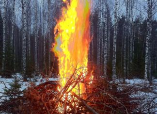 Пензенцы обеспокоены кострами в лесу Западной поляны