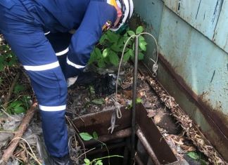 В Пензе спасатели достали собаку из глубокой ямы