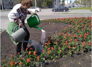 В городе приступили к высадке цветов