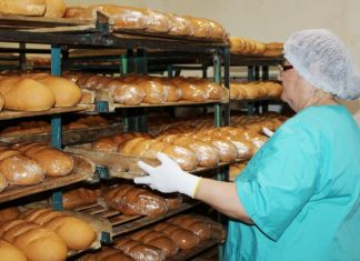В области планируют трудоустроить более 800 предпенсионеров