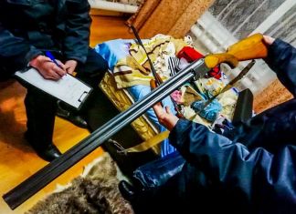 Владельцев оружия проверят в новогодние праздники