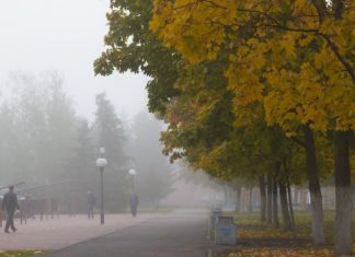 ﻿В Пензе выходные дни будут туманными