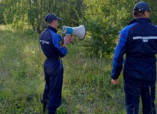 В Пензенском районе нашли двух заблудившихся грибников