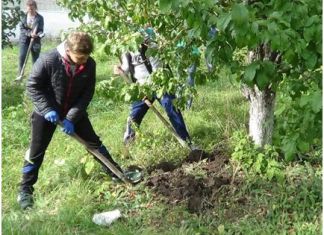 В Пензе разработан план по восстановлению зеленого фонда