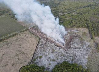 Пензенцам сообщили о пожарной опасности лесов с 29 июля