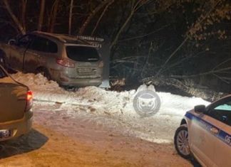 На Ульяновской автоледи «уходила» от ДПС и врезалась в дерево
