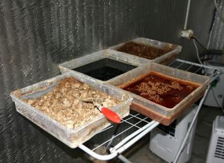 Пятеро пензенцев оказались на скамье подсудимых за организацию нарколаборатории