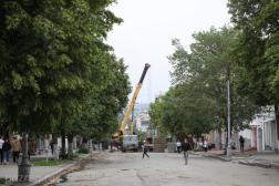 Врио главы региона запретил спиливать оставшиеся деревья на Московской