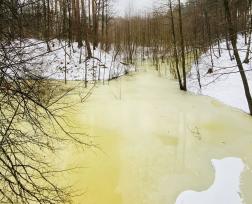 Зареченцы обеспокоены желтым цветом талой воды, стекающей в пруды