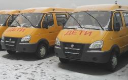 В Пензе не будут использовать школьные автобусы